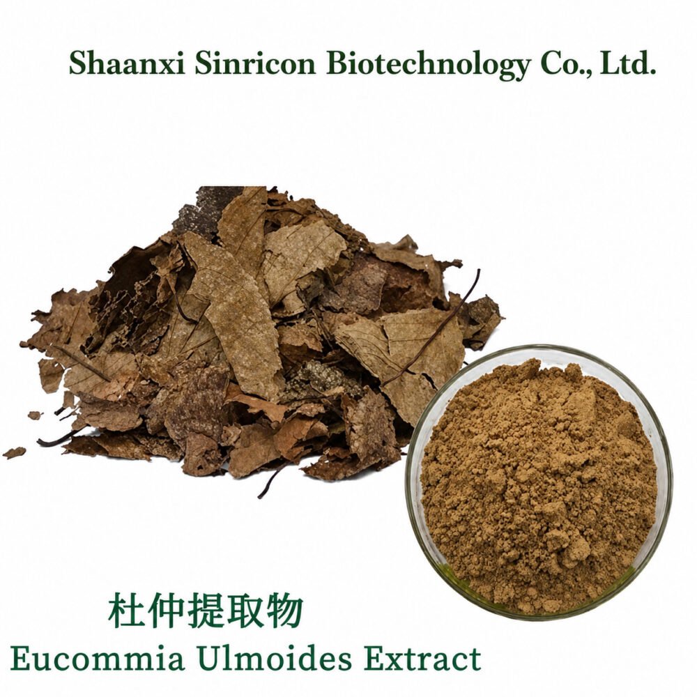 Eucommia Ulmoides Extract product image with botanical source material and extract powder.