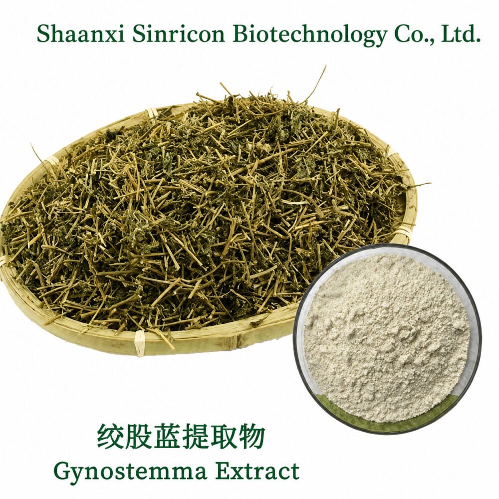 Gynostemma Extract Powder product image with botanical source material and extract powder.