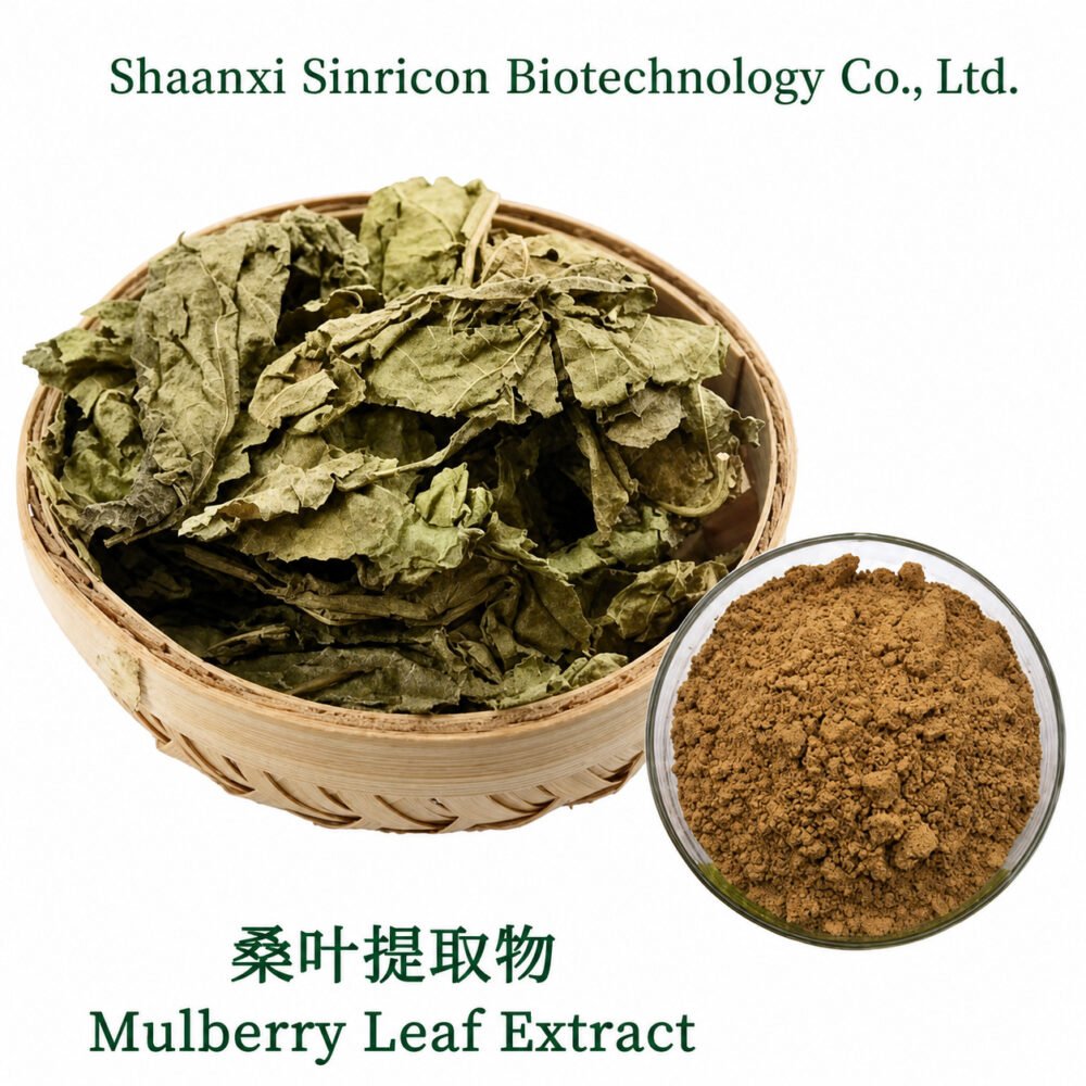 Mulberry Leaf Extract product image with botanical source material and extract powder.
