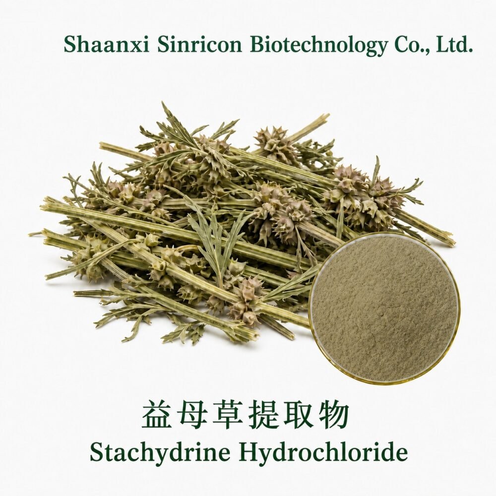 Stachydrine Hydrochloride product image with Leonurus aerial parts and crystalline powder.